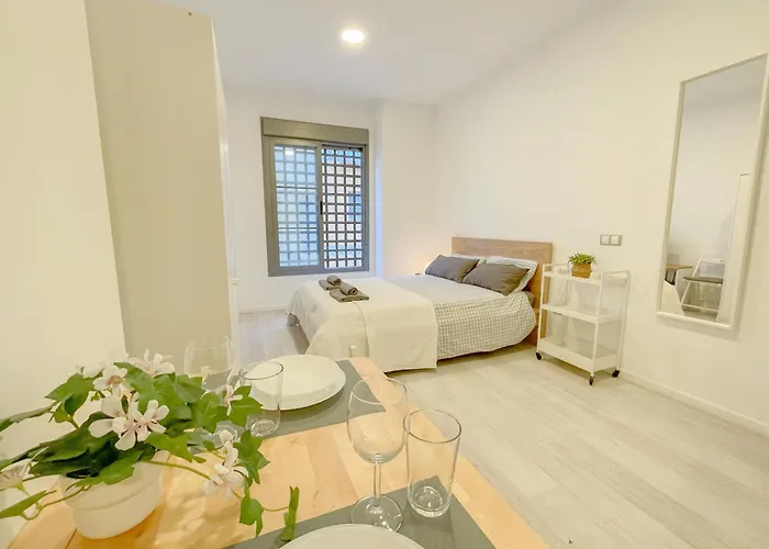 Estudio En Malaga Centro