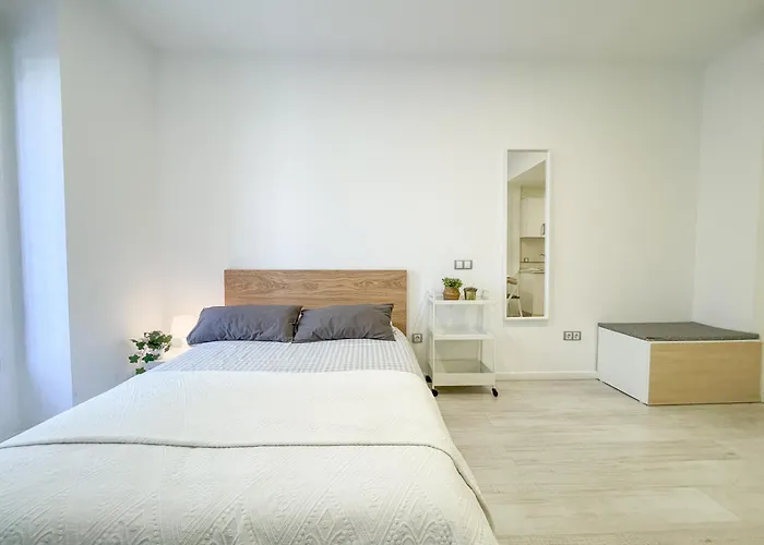 Estudio En Malaga Centro