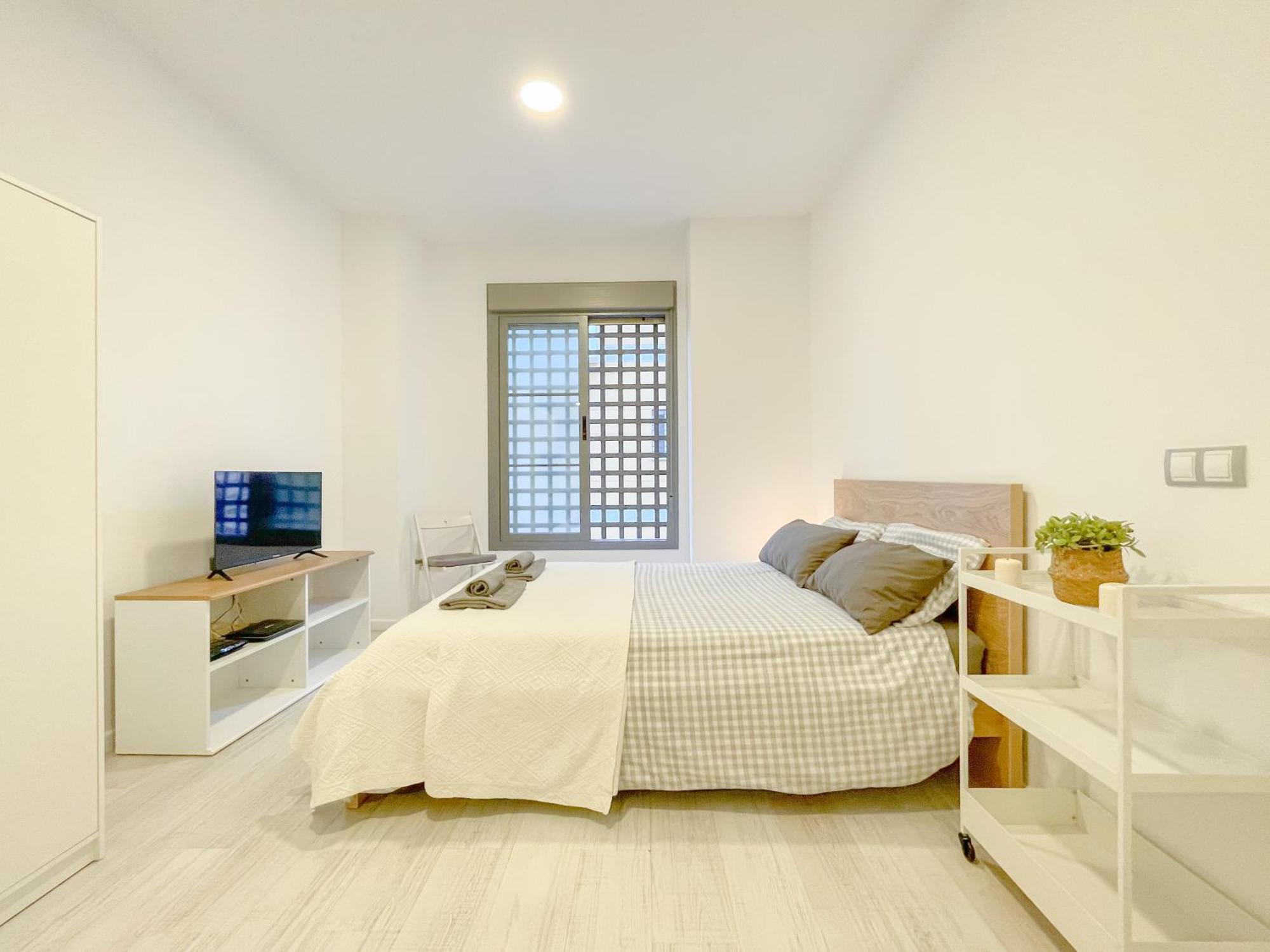 Estudio En Centro * Malaga
