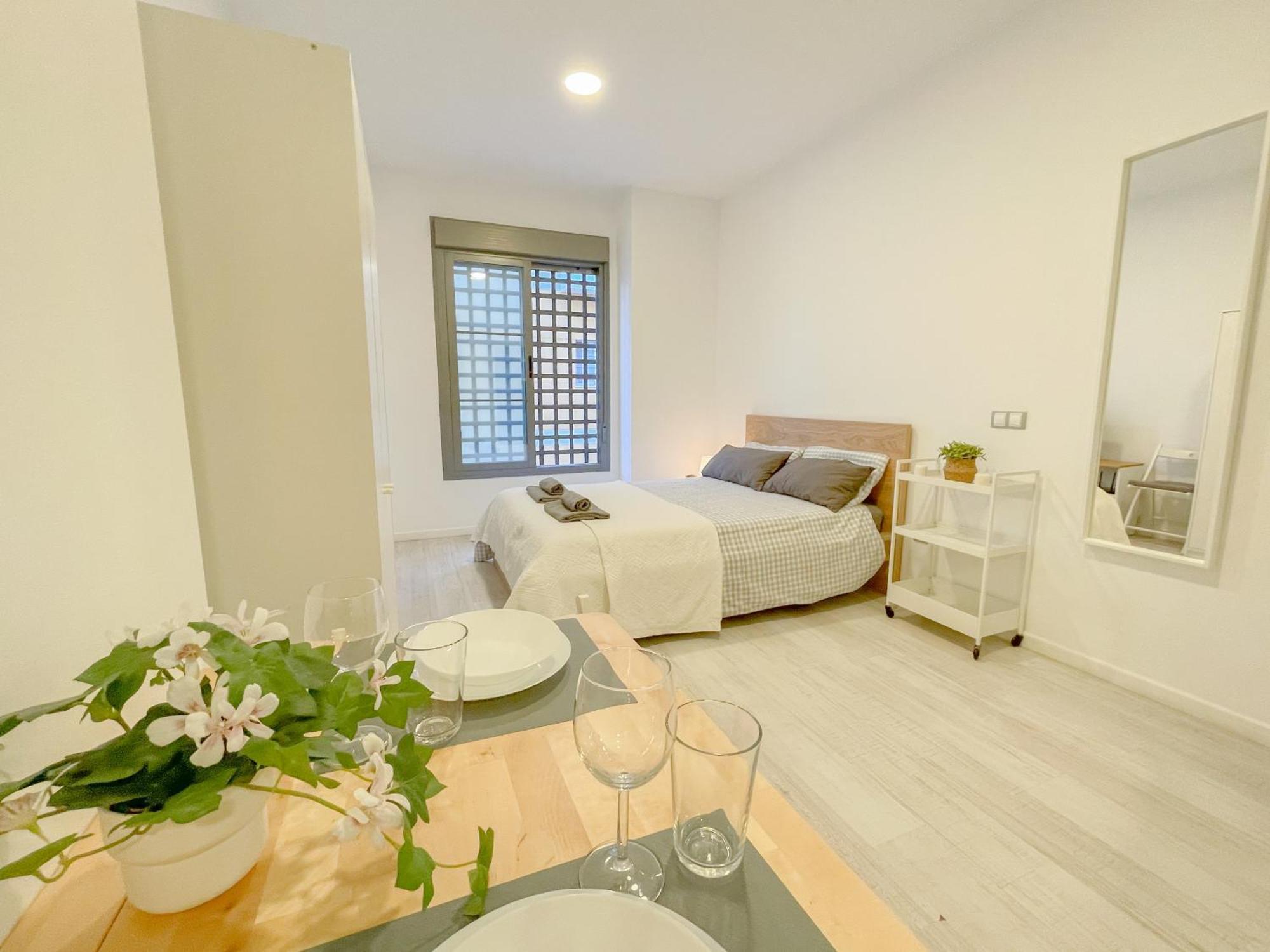 Apartment Estudio En Centro