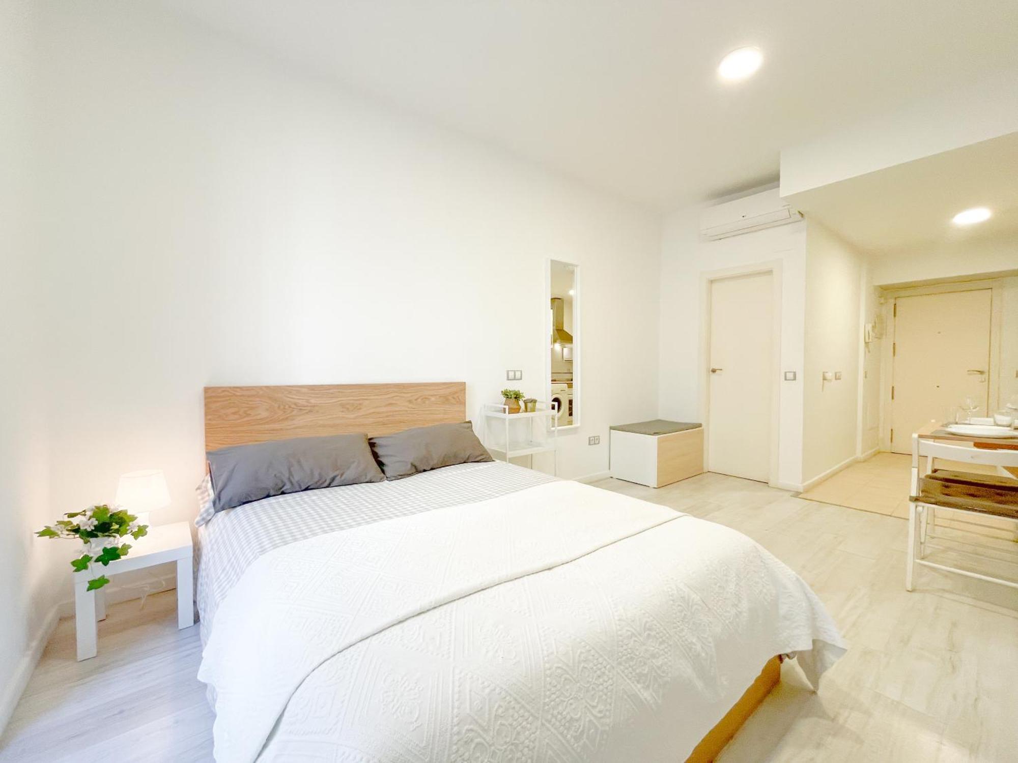 Apartment Estudio En Centro *