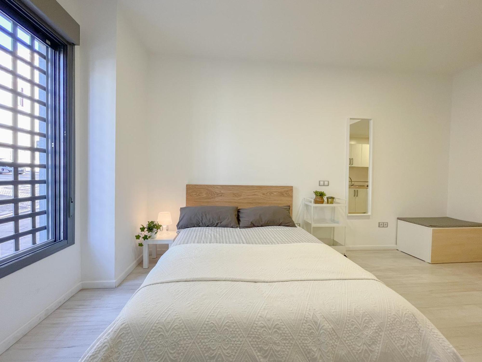 Estudio En Centro Apartment Malaga