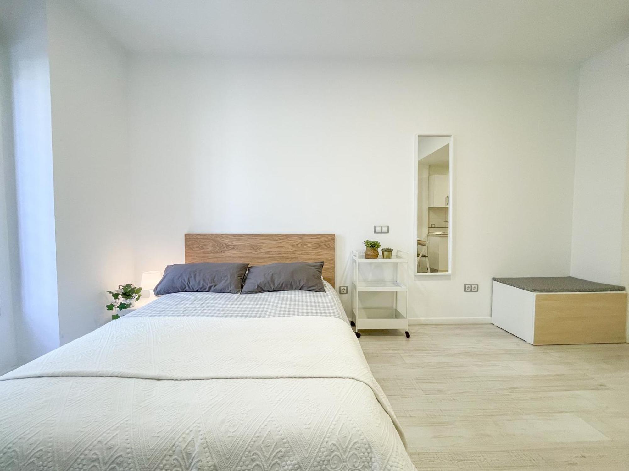 Apartment Estudio En Centro Malaga