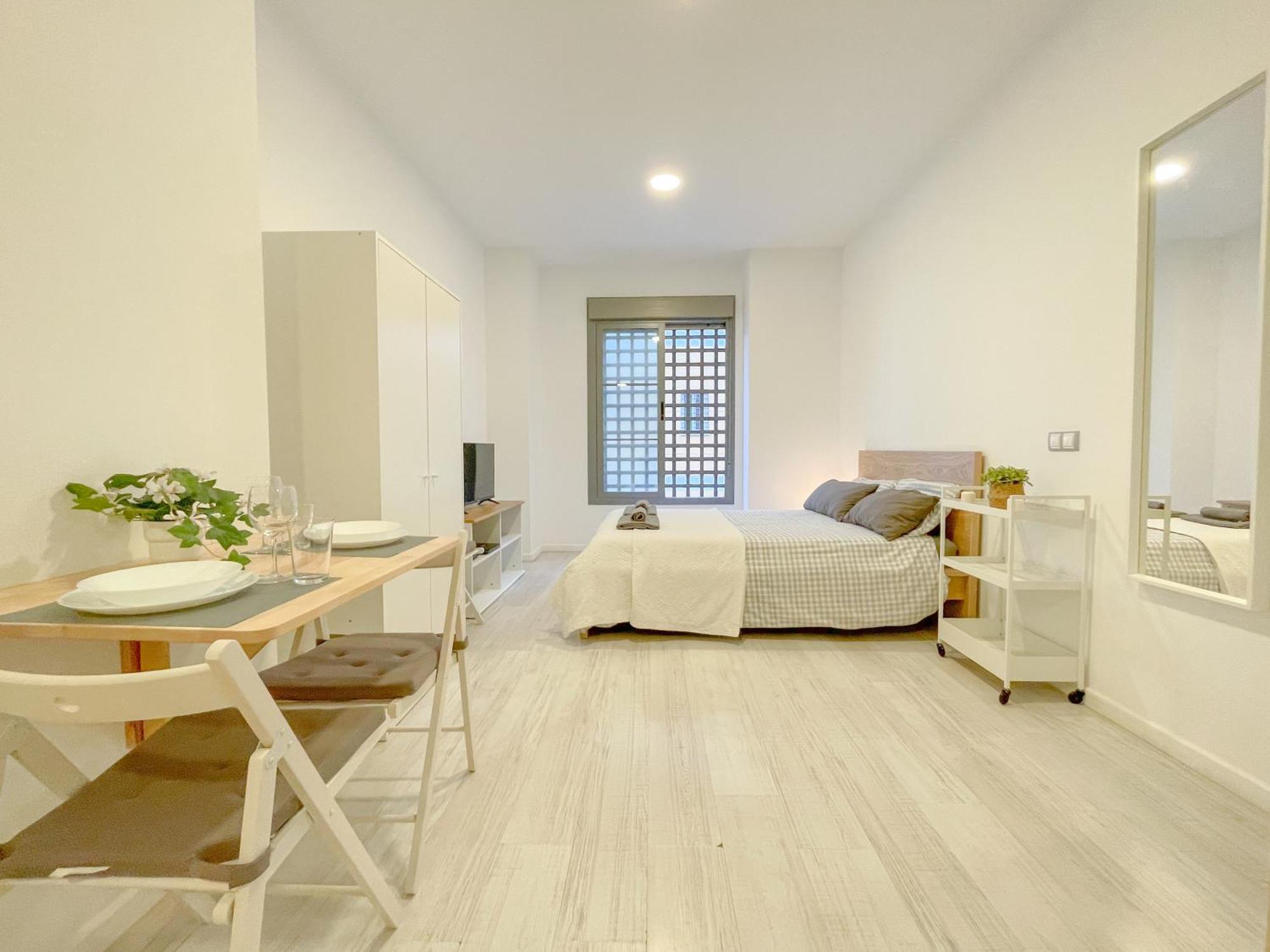 Apartment Estudio En Centro