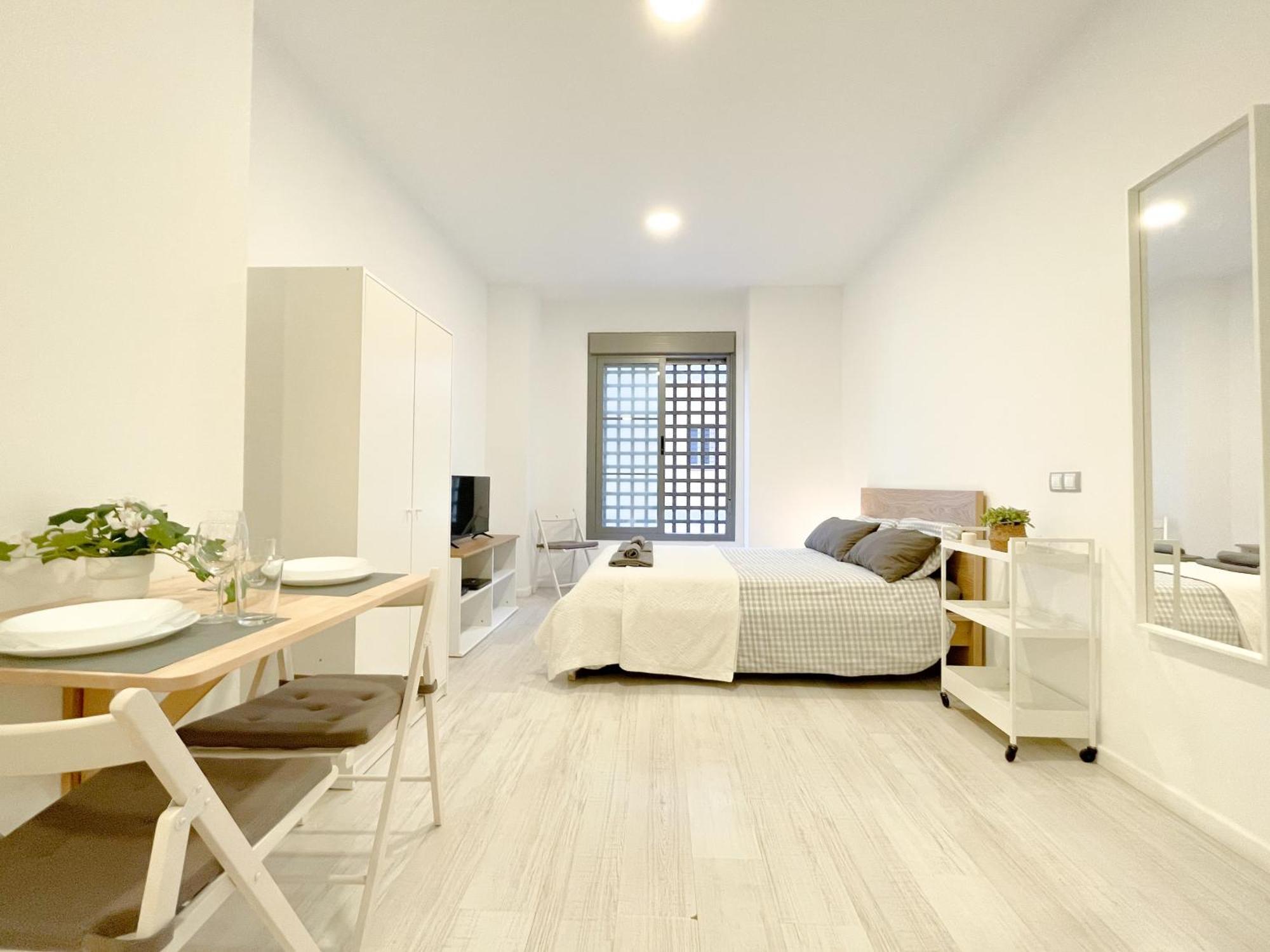Estudio En Centro * Malaga