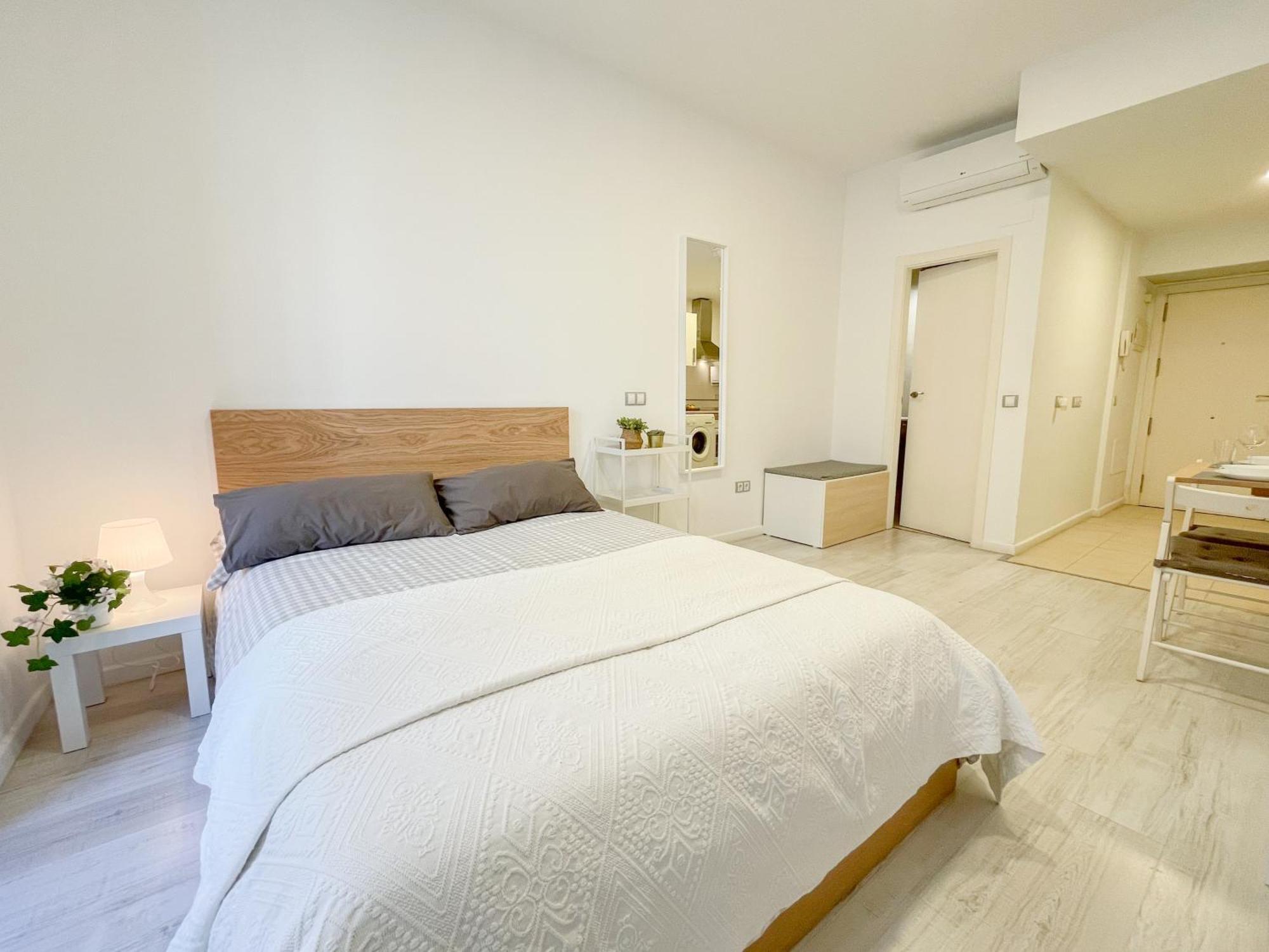 Estudio En Centro Apartment *