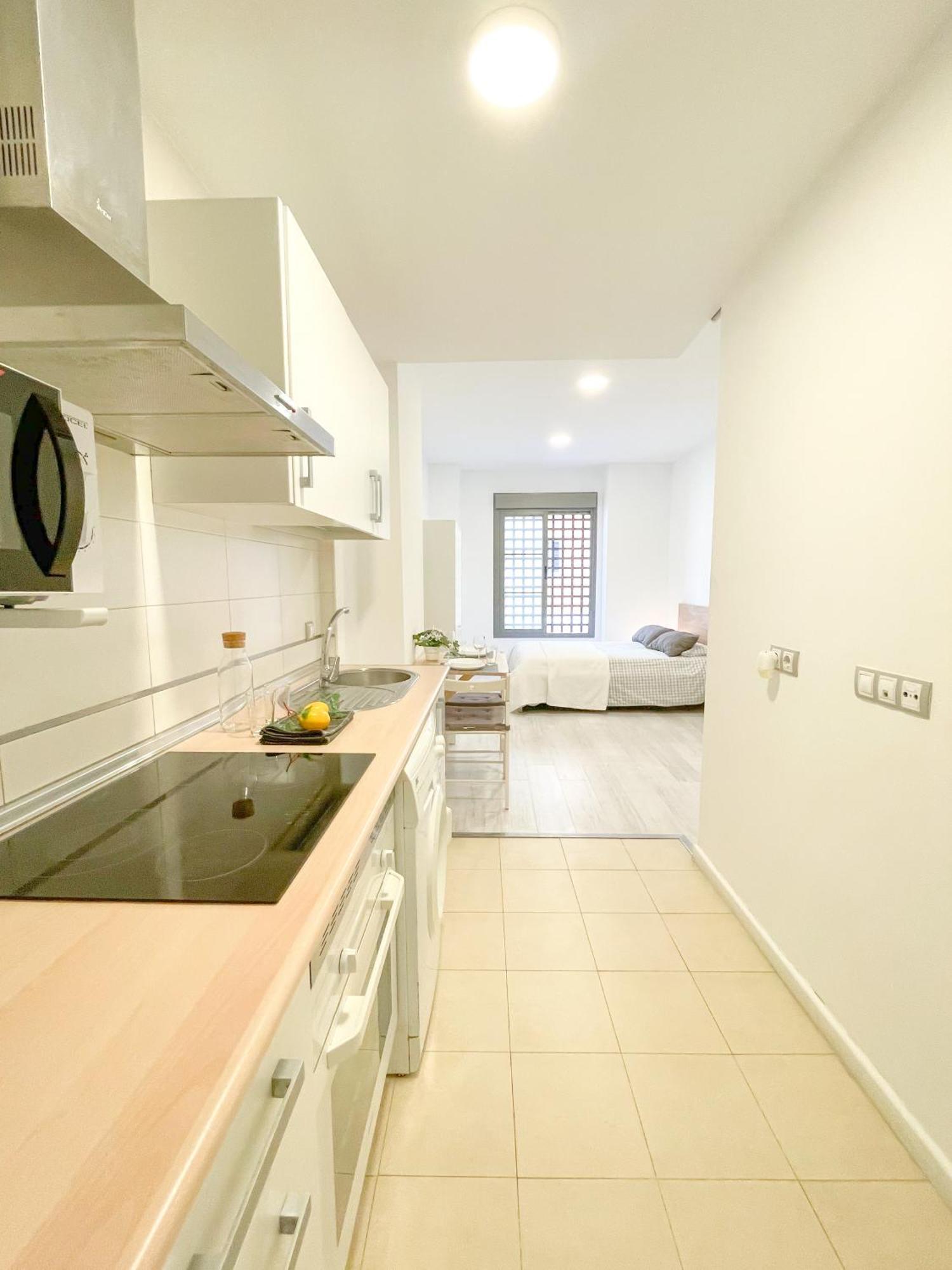 Apartment Estudio En Centro